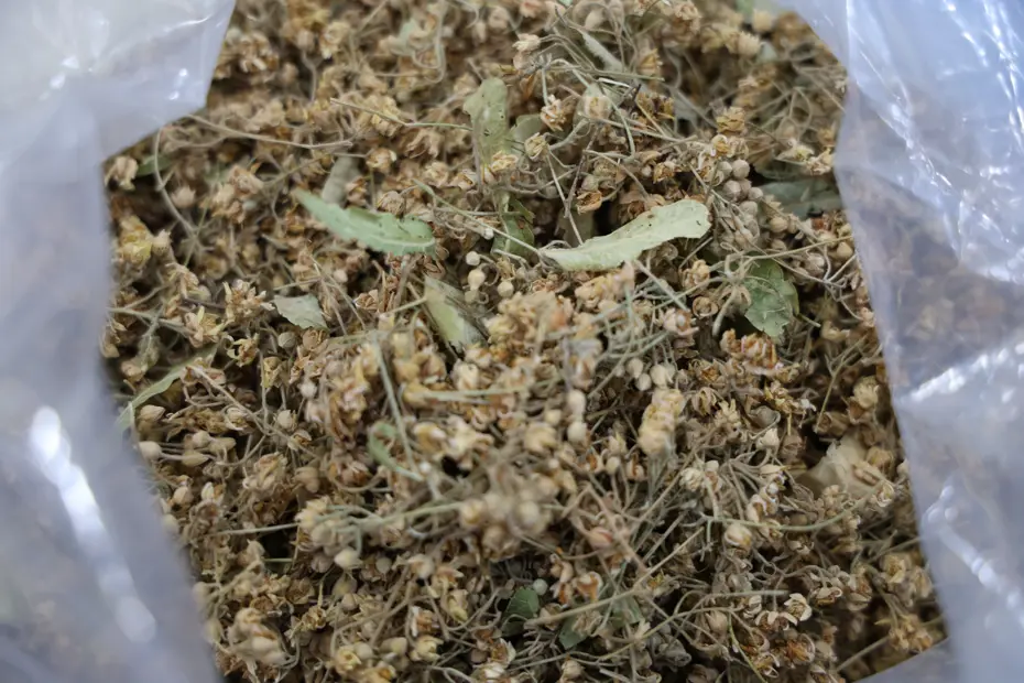 Kış soğuklarında bitki çaylarına ilgi yoğun. Hangi çaylar içilmeli?