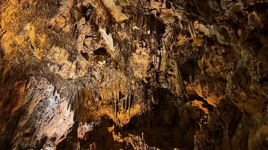 Solunum hastalığı olan oraya koşuyor. Astım ve KOAH hastalarına şifa olarak biliniyor 