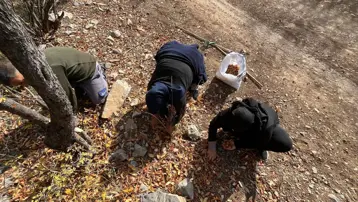 Ona &quot;Beşbıyık&quot; diyorlar, gelir kaynağı oldu. 30 yıl önce gizemli bir hayırsever aşılamış