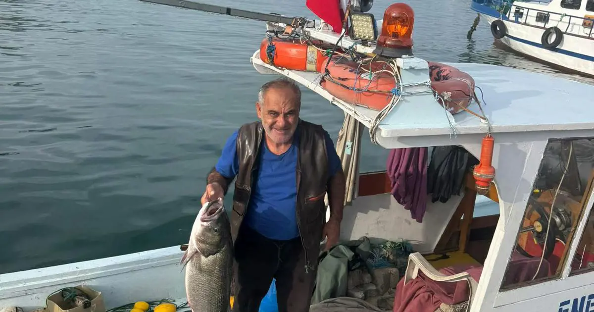 Kilosu bin lira. Balıkçının ağına 10 kiloluk takıldı