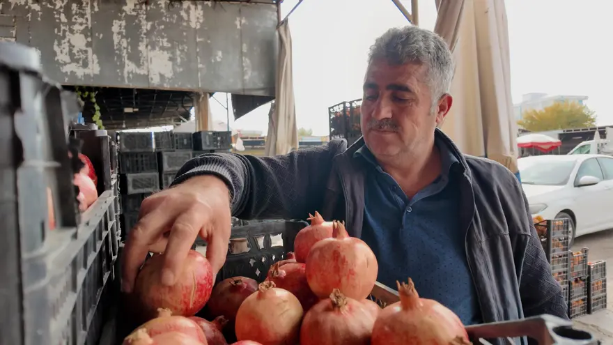İsmini Siirt'in bir köyünden alıyor. Çoğu kurudu, verim yarı yarıya düştü 5