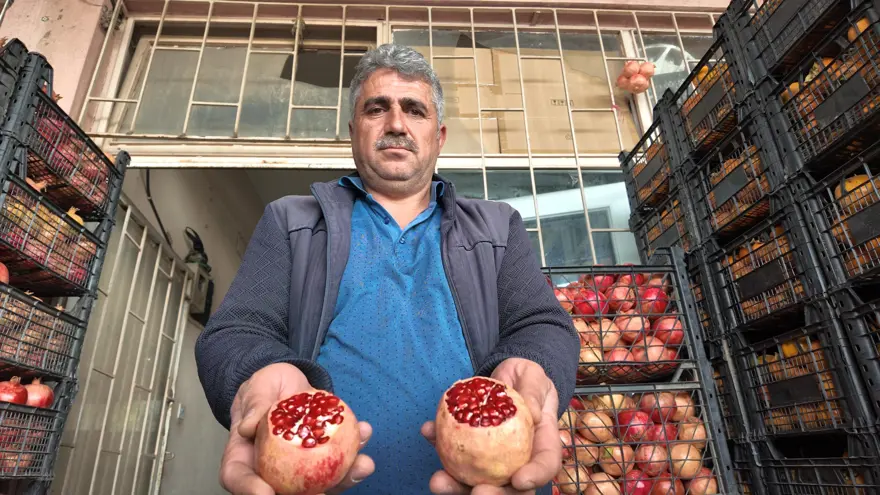 İsmini Siirt'in bir köyünden alıyor. Çoğu kurudu, verim yarı yarıya düştü 1