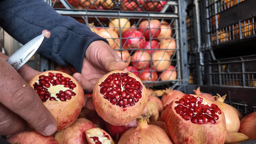 İsmini Siirt'in bir köyünden alıyor. Çoğu kurudu, verim yarı yarıya düştü 2