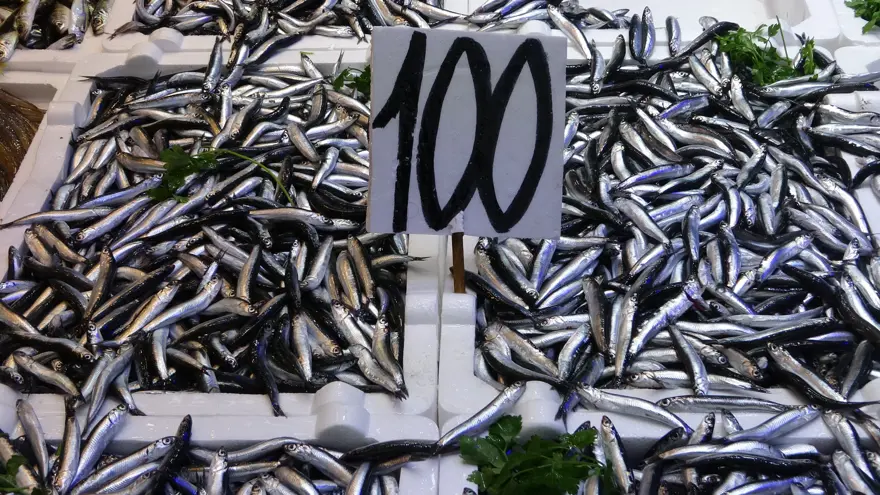 Bereket yaşanıyor, bol bol var. Fiyatı ucuzladı 1