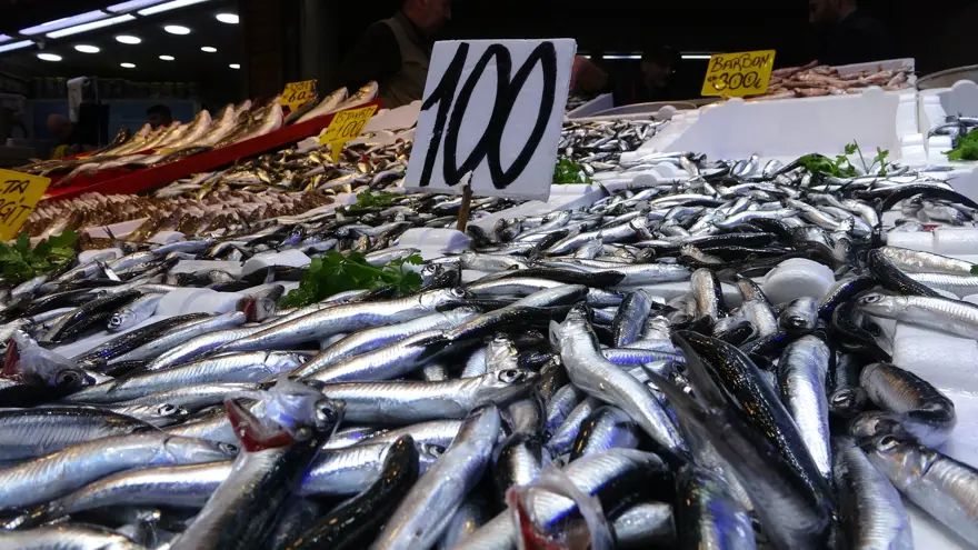 Bereket yaşanıyor, bol bol var. Fiyatı ucuzladı 2