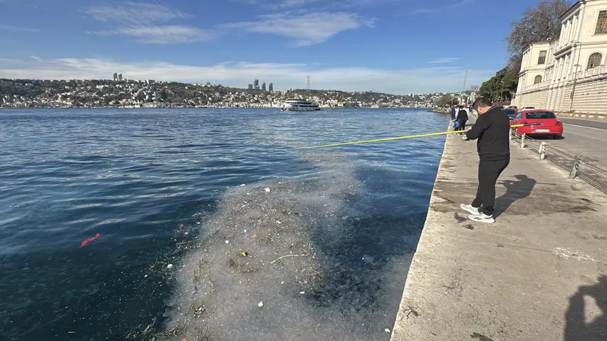 Binlercesi kıyıya vurdu, endişelendiren görüntü. "Bu sene enteresan şeyler oluyor" 3