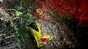 Seyir halindeki taksi, devrilen ağacın altında kaldı