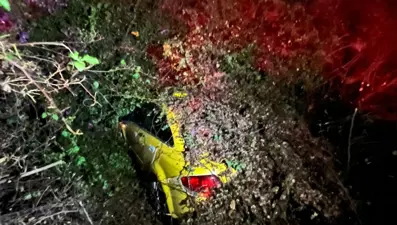 Seyir halindeki taksi, devrilen ağacın altında kaldı