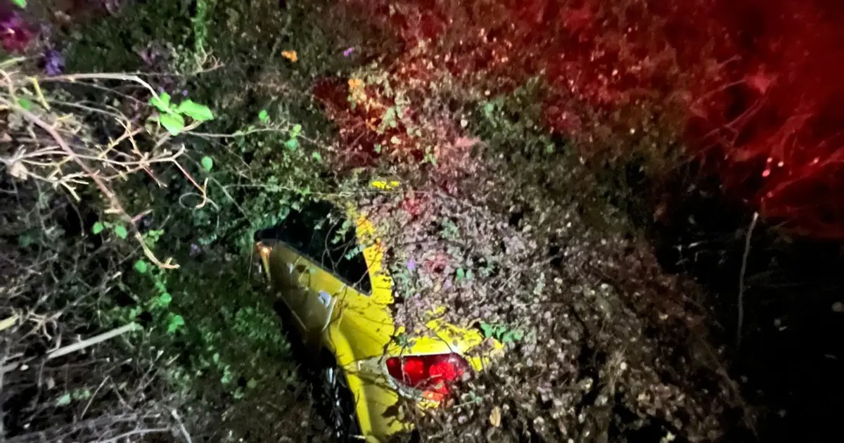 Seyir halindeki taksi, devrilen ağacın altında kaldı