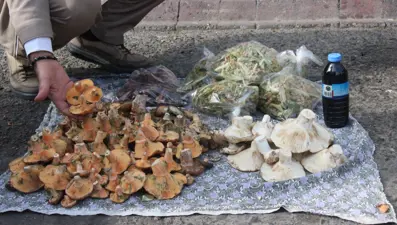 Yemesi lezzetli ama dikkat edilmezse tehlikeli. Ölüme kadar götürüyor