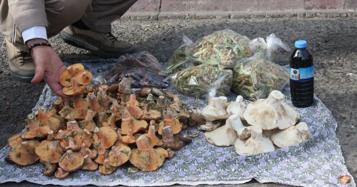 Yemesi lezzetli ama dikkat edilmezse tehlikeli. Ölüme kadar götürüyor