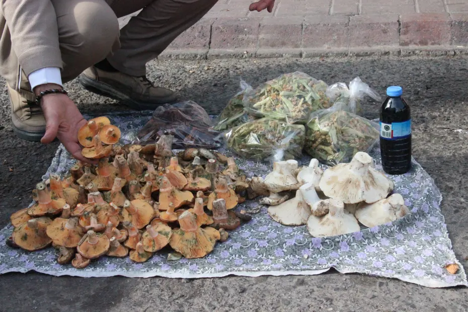 Yemesi lezzetli ama dikkat edilmezse tehlikeli. Ölüme kadar götürüyor