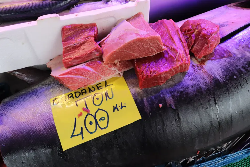 Özel izinle Eskişehir'e getirdi. Gören afallıyor, nadir rastlanıyor 3