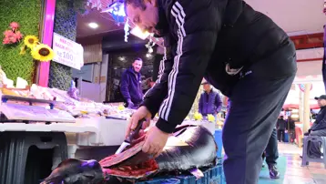 Özel izinle Eskişehir&#x27;e getirdi. Gören afallıyor, nadir rastlanıyor