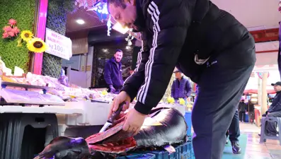 Özel izinle Eskişehir&#x27;e getirdi. Gören afallıyor, nadir rastlanıyor