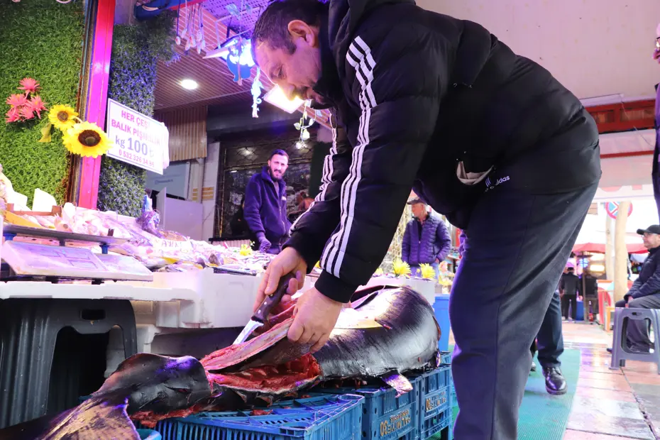 Özel izinle Eskişehir'e getirdi. Gören afallıyor, nadir rastlanıyor