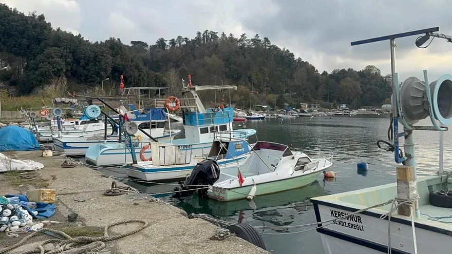 Karadeniz'de hayal kırıklığı. Aylar öncesinden hazırlık yaptı ama deniz bomboş 