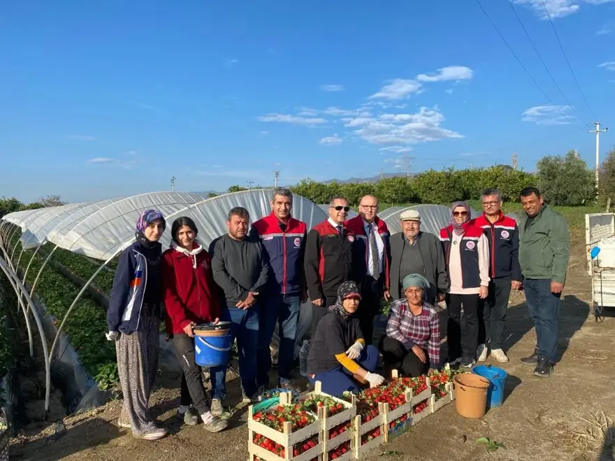 Hoş kokusu, yoğun aroması, parlak kırmızı rengi var. Hasat sevinci 2