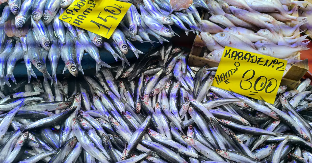 Hava sıcaklığı düştü, yoğun ilgi görmeye başladı. Tezgahta hamsi bereketi