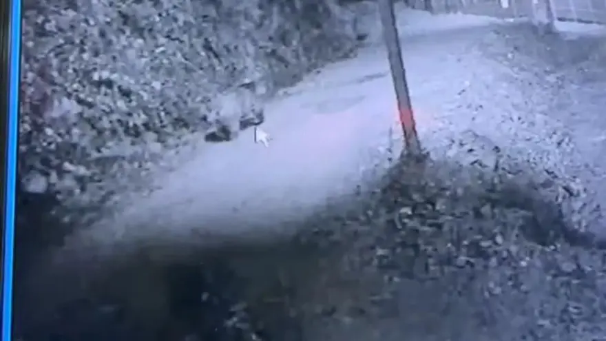 AV KÖPEKLERİ İLE ARAZİYE ÇIKMIŞLARDI 2