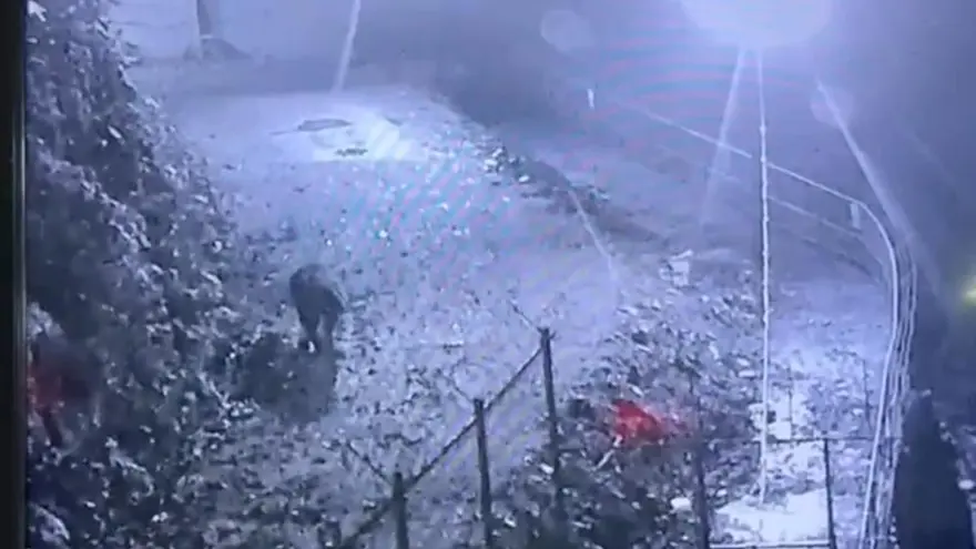 Avcılar bir türlü bulamadı, dün gece kameraya takıldı 1