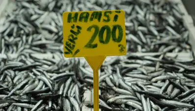 En ucuz balık olarak tezgahtaydı. Kilosu 200 TL'ye ulaştı