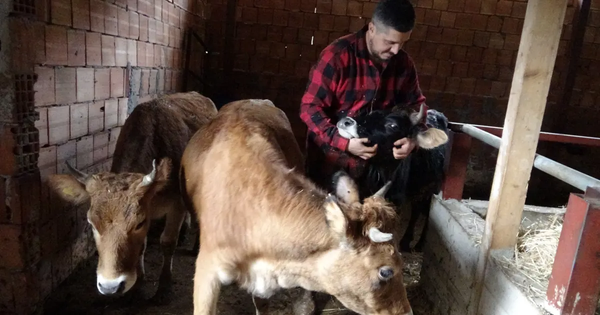 Almanya'dan memleketine geldi, kendi topraklarını işlemeyi seçti