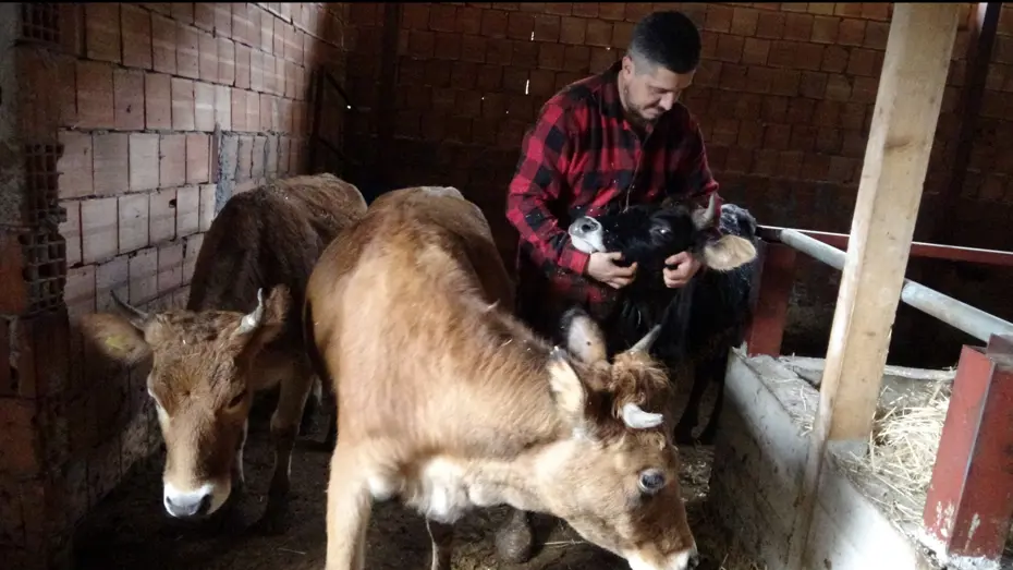 Almanya'dan memleketine geldi, kendi topraklarını işlemeyi seçti