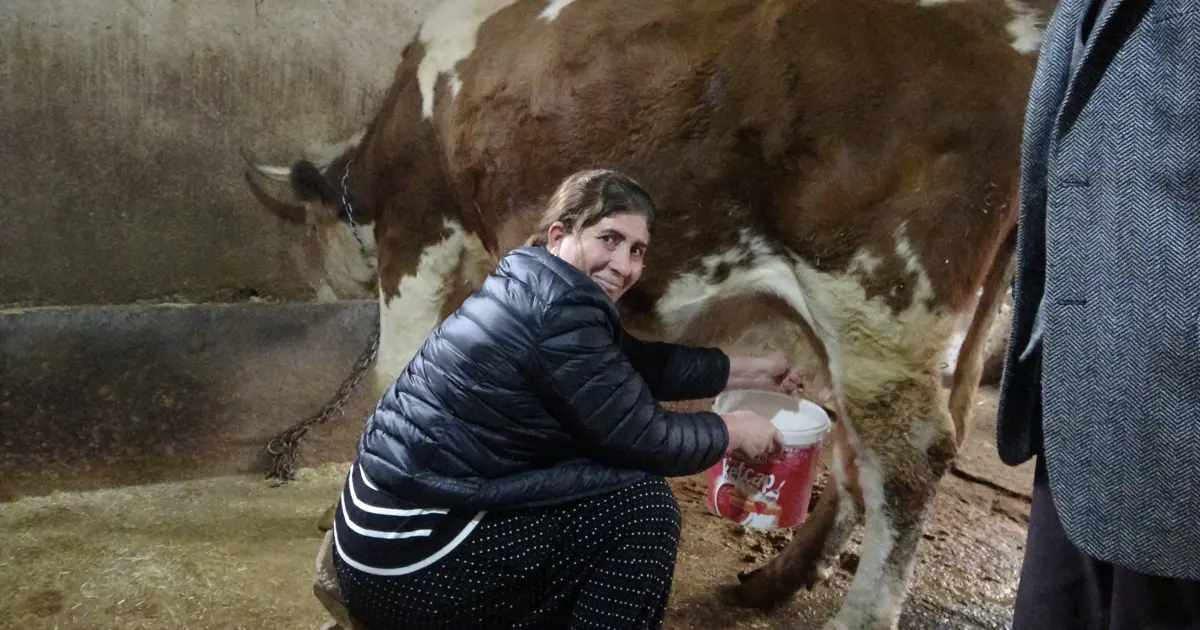 8 erkeği geride bırakan kadın muhtar. Hem çalışıyor hem mahalleyi yönetiyor