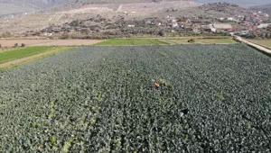 Tarladan pazara fiyatı üçe katlanıyor