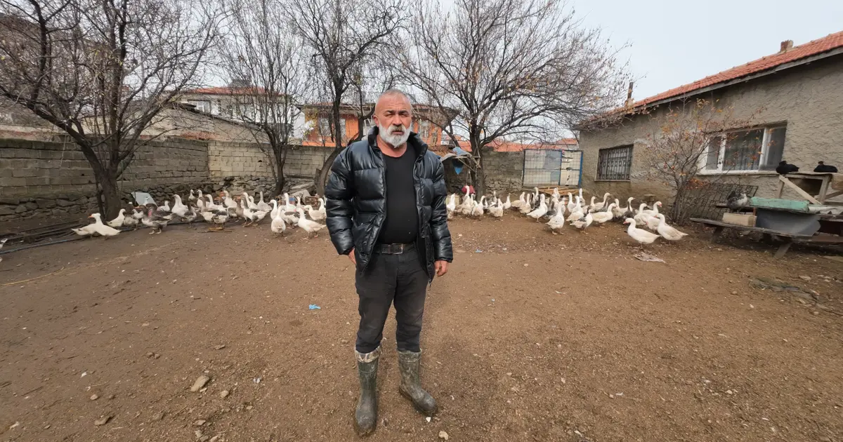 İstanbul'dan memleketine döndü, kendi işini kurdu. Köyünde yetiştiriyor