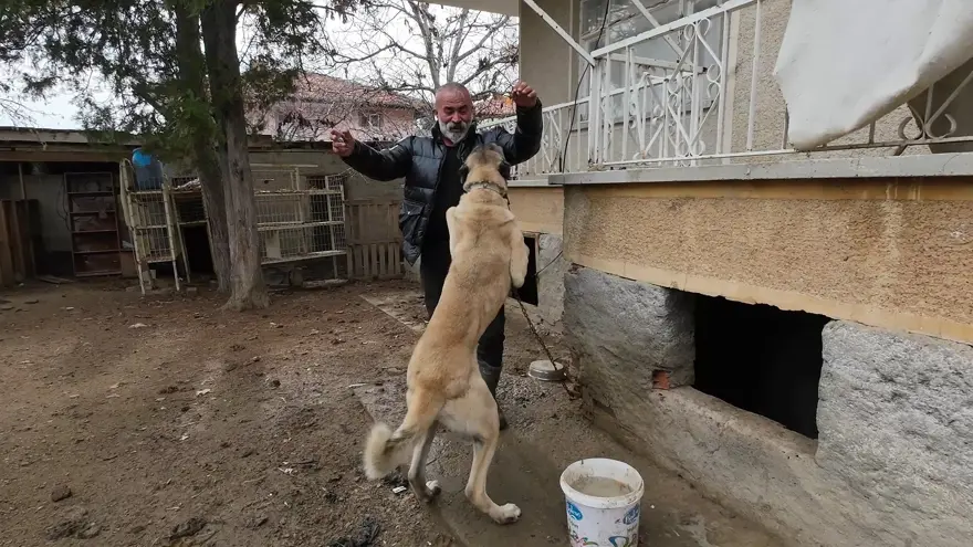 KÖYDE KENDİ İŞİNİN PATRONU 