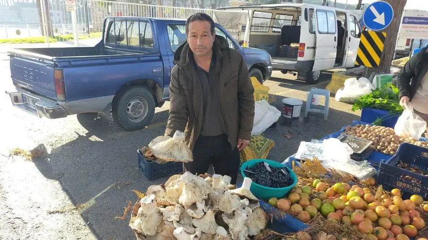 Bin 800 rakımlı yayladan topluyor. Pazarın ilgi odağı, tezgahta gören almadan dönmüyor 2