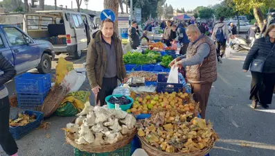 Bin 800 rakımlı yayladan topluyor. Pazarın ilgi odağı, tezgahta gören almadan dönmüyor