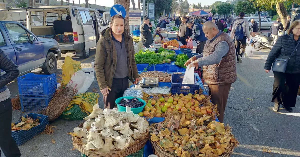 Bin 800 rakımlı yayladan topluyor. Pazarın ilgi odağı, tezgahta gören almadan dönmüyor
