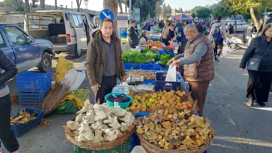 Bin 800 rakımlı yayladan topluyor. Pazarın ilgi odağı, tezgahta gören almadan dönmüyor 