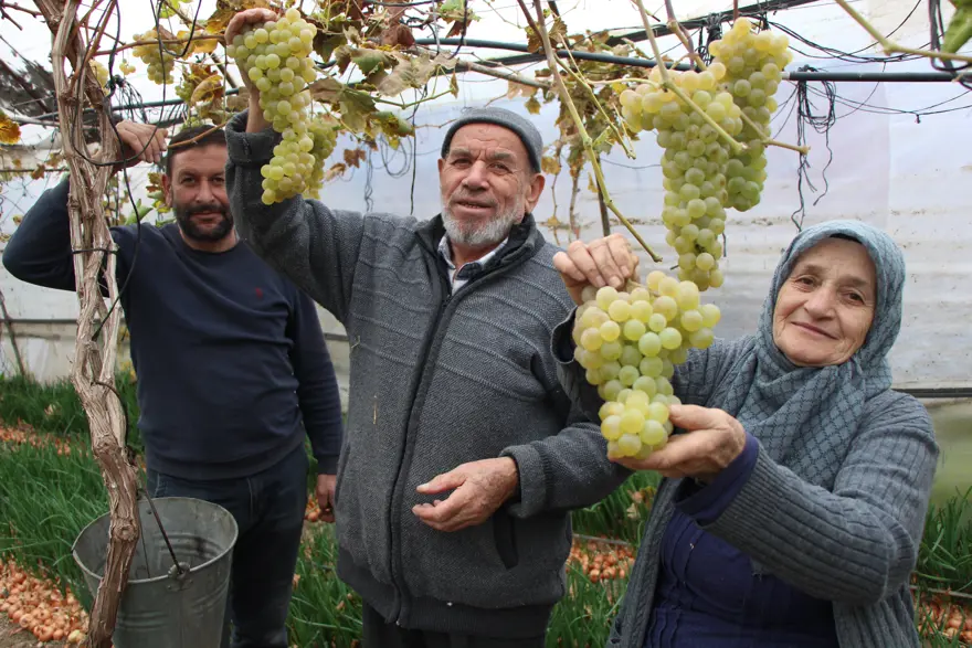 "EN GÜZEL ÜZÜMÜ BEN YETİŞTİRİYORUM"
2 "EN GÜZEL ÜZÜMÜ BEN YETİŞTİRİYORUM"
2