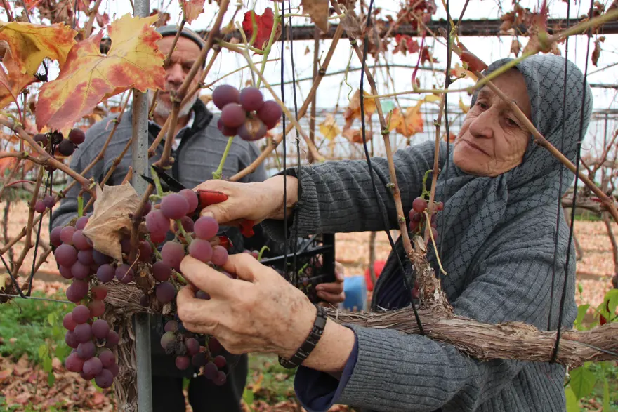 "EŞİM OLMASAYDI BU İŞLER YÜRÜMEZDİ"
3 "EŞİM OLMASAYDI BU İŞLER YÜRÜMEZDİ"
3