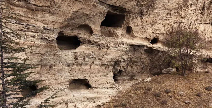 BİLİM İNSANLARININ DİKKATİNİ ÇEKTİ 1