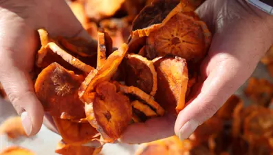 Vitamin ve antioksidan zengini. Adana'dan Almanya'ya gönderiliyor