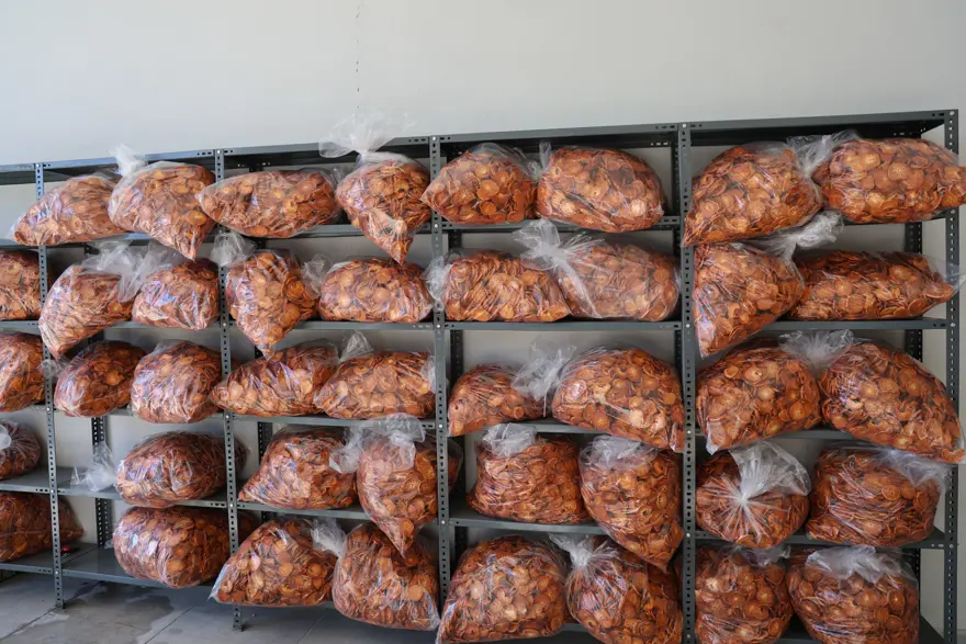 Vitamin ve antioksidan zengini. Adana'dan Almanya'ya gönderiliyor 