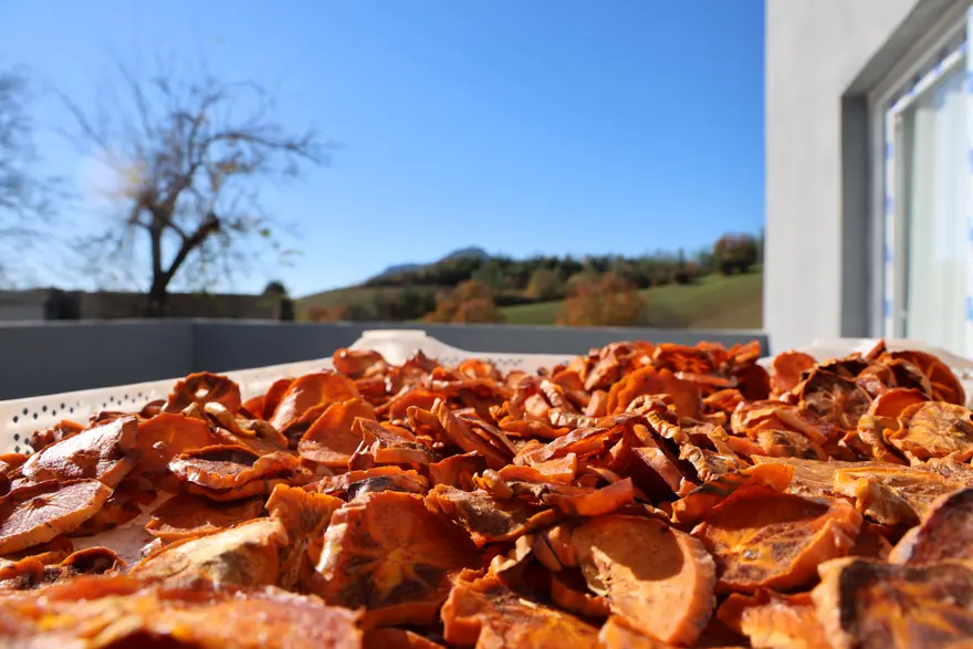 Vitamin ve antioksidan zengini. Adana'dan Almanya'ya gönderiliyor 4