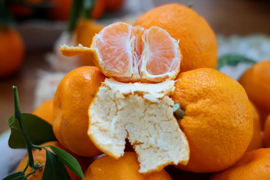 Pazarın en ucuz meyvesi oldu. Kilosu 5 liraya kadar düştü 2