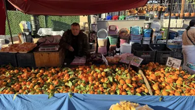 Pazarın en ucuz meyvesi oldu. Kilosu 5 liraya kadar düştü