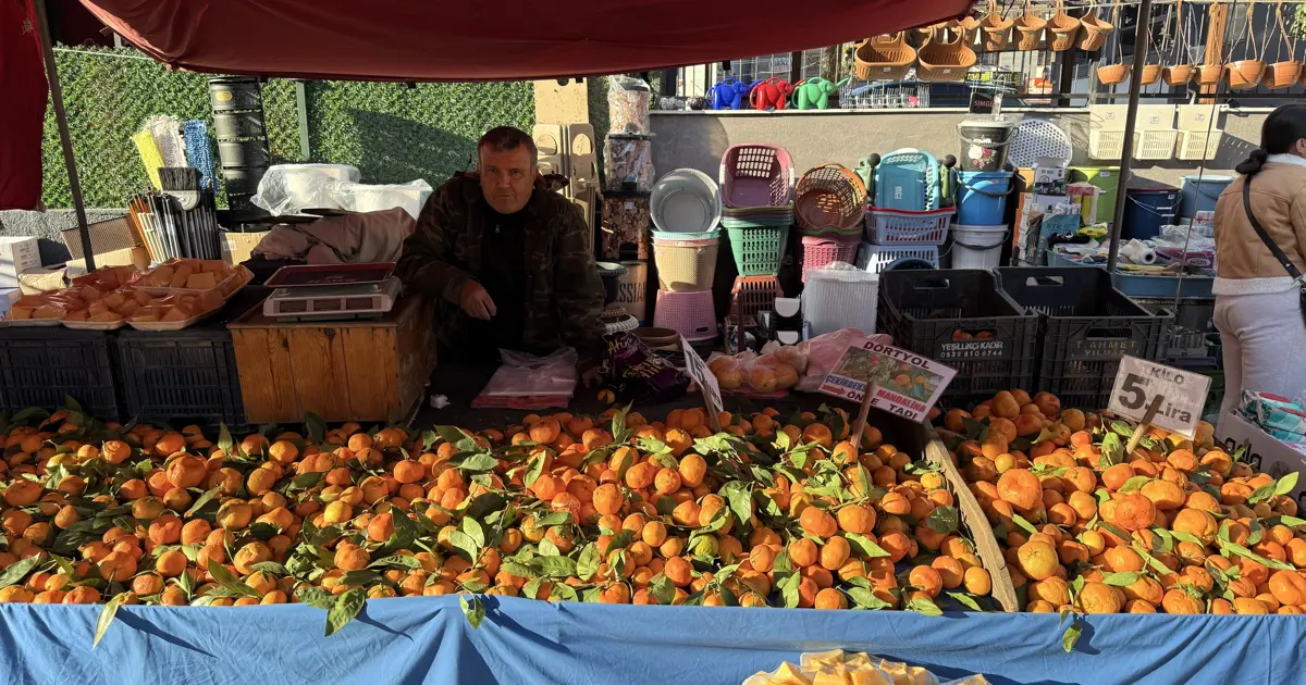 Pazarın en ucuz meyvesi oldu. Kilosu 5 liraya kadar düştü