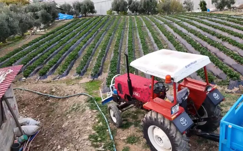 Üretim kışın da devam ediyor. Bahçede 130 TL'ye satılıyor