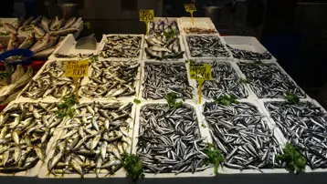Sezon boyunca vatandaşın favori balığı oldu. Tezgahlarda bereketi bitmiyor