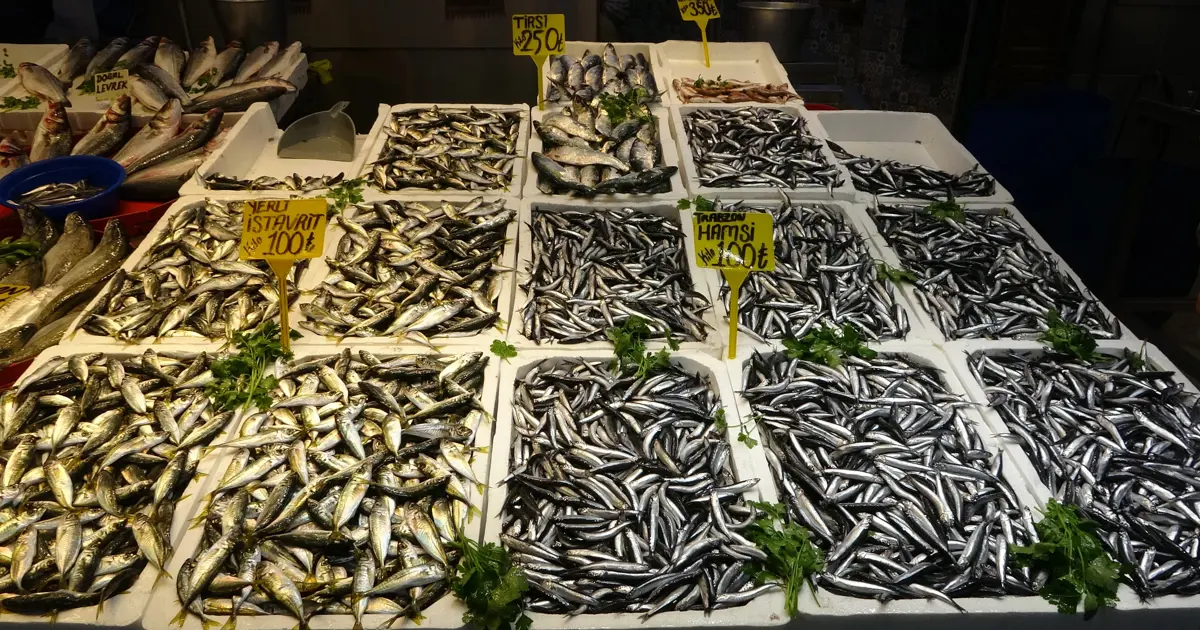 Sezon boyunca vatandaşın favori balığı oldu. Tezgahlarda bereketi bitmiyor