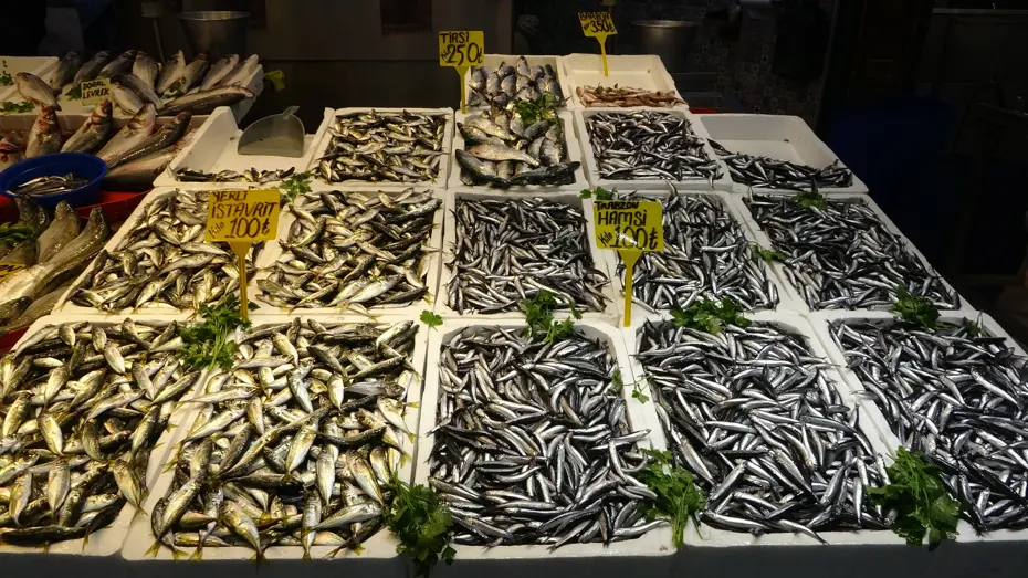 Sezon boyunca vatandaşın favori balığı oldu. Tezgahlarda bereketi bitmiyor