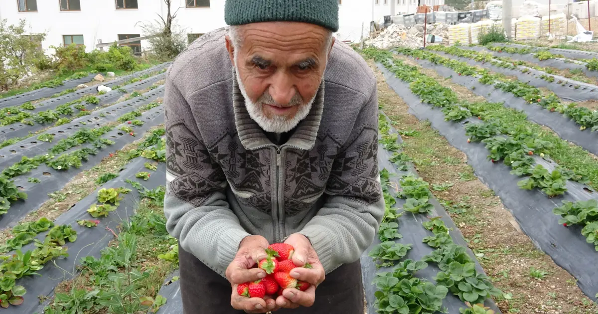 Türkiye onu "Hayır Bahçesi" ile tanıdı, 30 yıldır ücretsiz dağıtıyordu. İbrahim dede hayatını kaybetti